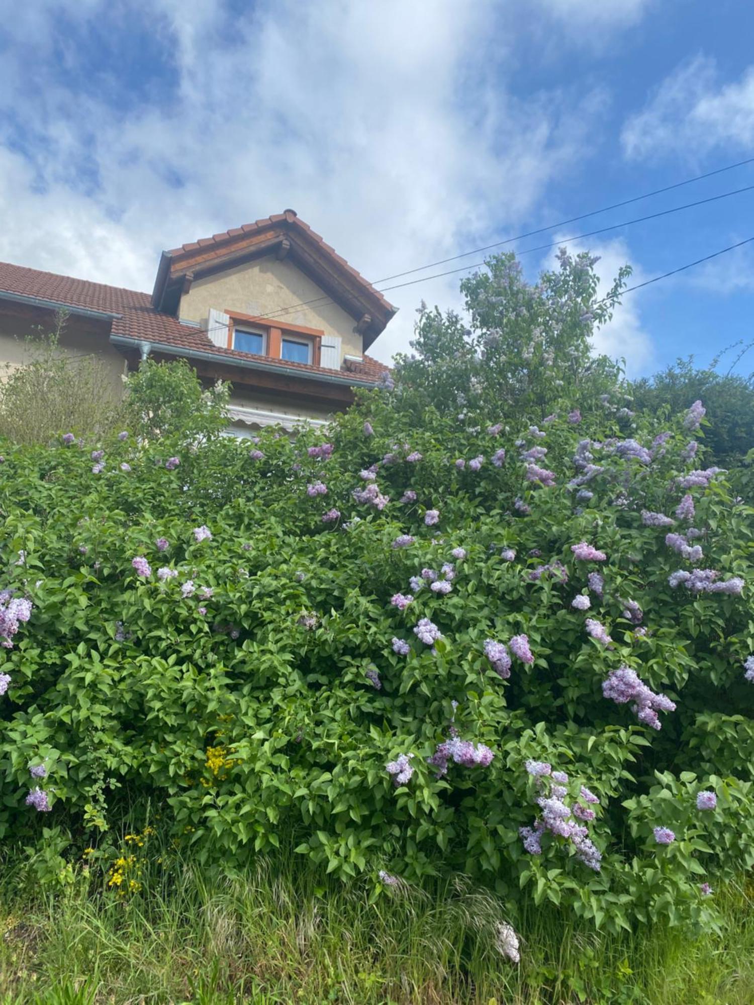 Villa Le Refuge De L'Ours Baerenthal Exterior foto